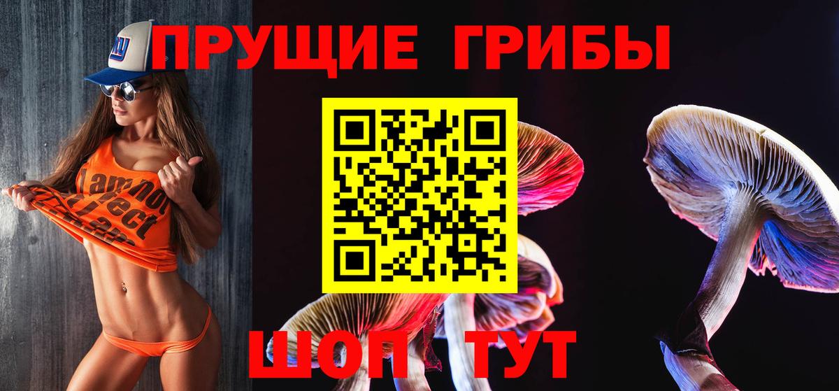 Галлюциногенные грибы Magic Shrooms Гусиноозёрск