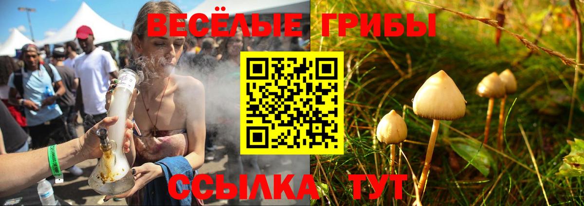 Гусиноозёрск  Псилоцибиновые грибы мицелий  Вход с VPN 